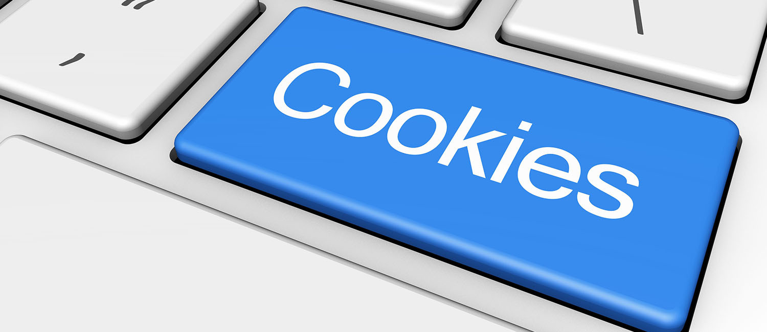 Website Cookie Policy For Travel Inn Gilroy